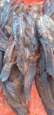 Ikan Salai Gabus / Toman