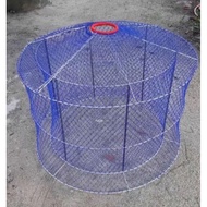 PERKOP AYAM LAGA AYAM KAMPUNG AYAM HUTAN