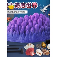 Children Fossil Archaeological Excavation Marine Life Treasure Hunt Coral Shell Treasure Girl Treasu
