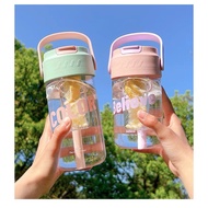 DNICE Straw Water Bottle/Tea Separation Water Bottle/Large Capacity Water Bottle SSiwa 600ML 800ML