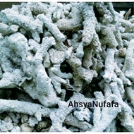 Ginger Coral, Coral Stone, repack 500gr