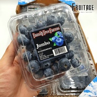 บลูเบอรี่นำเข้า Blueberry (JUMBO) (USA/NZL/Peru/Chile) ~ลดพิเศษ~ Premium ที่สุดของบลูเบอร์รี่ ผลไม้สดๆ ผลไม้สดนำเข้า บลูเบอรี่สด บลูเบอร์รี่สด