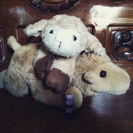 Boneka Qurban (Domba & Unta)
