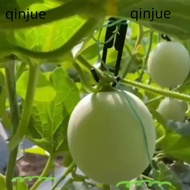 QINJUE 30pcs Mesh melon hook, Mesh melon cantaloupe Hanging Hook, cantaloupe long Elizabeth Hooks fo