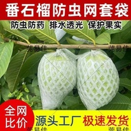 Guava Net Bagging Fruit Insect-Proof Integrated Bag Guava Bagging Foam Protection Bag Plastic Bag Gu