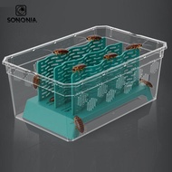 [SONONIA] Reptile Food Cup Organizer Gecko Ventilated Bearded Dragon Accessories