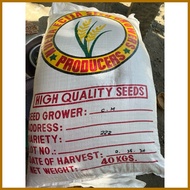 Binhi Palay Seeds/Rice Variety  222 & 436 BINHI Malakas umani Certified Seeds new harvest 1kilo