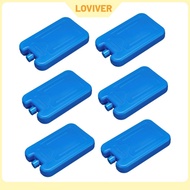 6Pcs Ice Freezer Blocks Cooling Elements Freezer Packs for BBQ Picnics Home