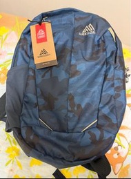Gregory Retna 20L Day pack 迷彩背包