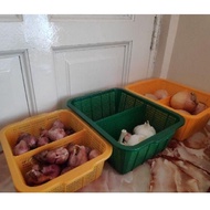 Visionware Multipurpose Basket/ Duo-Compartment Basket/Plastic Basket/ Plastik Bakul/Bakul bawang/ra