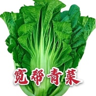 Kuansuke Green Vegetable Seeds Mustard Seeds Cabbage Pickled Pickled Vegetables Pickled Vegetables O