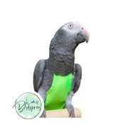 Avian Fashions FlightSuits