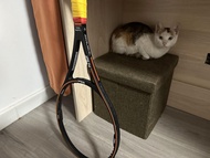 Wilson Pro Staff 網球拍