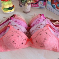 BRA (K-A38) BIG SIZE 42-48 Women's underwear without wire