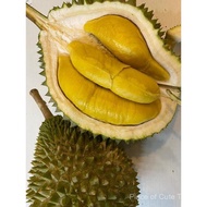 (DELIVERY) Ms Durian's Pahang Old Tree Mao Shan Wang Durian 450g