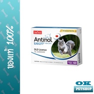 หมดอายุ 5/25 Antinol cat วิตามินบำรุงข้อและลดอักเสบของแมว 60 เม็ด