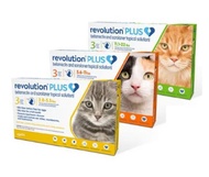 全新 REVOLUTION PLUS for Cats 貓用 滴頸劑 一盒三支