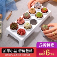 Succulent Flowerpot Creative Succulent Simple All-Match Succulent Plant Flowerpot Plastic Pot Succulent Pot Bracket Package