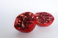 Bibit Tanaman Buah Delima Merah Dwarf Pomegranate Bergaransi