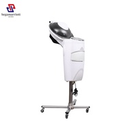 O3 Hair Steamer Micro Mist Hair Dryer Salon Professional Beauty Salon Hair Care Device Micro Fog Mac