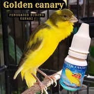 Doping and Gacor for Canary Birds, Fast Gacor, Daily Doping/Effective Doping 10ml Golden Canary