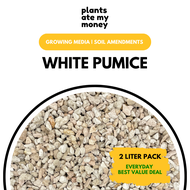 PAMM | PUMICE 2L -  White Pumice, Growing Media, Soil Enhancer, Potting Mix Aeration and Drainage [Local Seller]