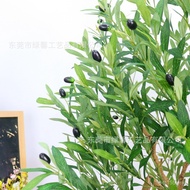 Window Nordic Olive Tree Detachable Assembly Simulation Saving Influencer Volume Olive Tree Decorati