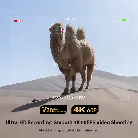 Lexar V30 SDXC UHS-I Memory Card U3 4K UHD SD Card 64GB 128GB 256GB Video Cards for DSLR or mirrorle