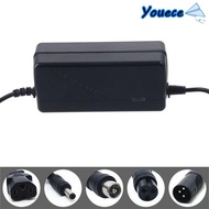YOUECE Power Adapter 48V DC Head Lithium Electric Power Supply