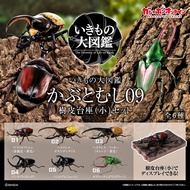Gashapon Bandai Kuwaita Hercules Beetle Action Vol.09 Animal Model