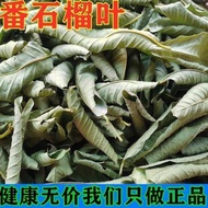 Guava Leaf New Product Genuine Product Leaf Alpine Guava Guava Leaf Guava Leaf Dry Product Chinese H