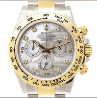 Rolex 116503ng 白貝