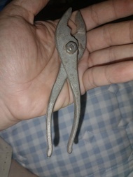 日本鯉魚鉗