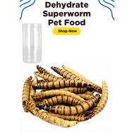 Hamster food / makanan ikan / makanan hamster / sugar glider food dehydrate superworm 60gram
