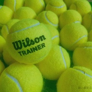 [GO 2 Sports] WILSON Tennis Trainer Practice Ball Beginner Club School Suitable Single Whole Bag