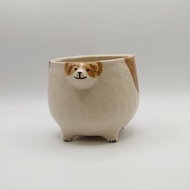 傑克羅素犬杯杯