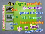 ปุ๋ยกันชา ปุ๋ยกัญ ชุด 10 ลิตร สูตรพลังม้า ปุ๋ยAB+ปุ๋ยแคลเซี่ยมแม็กซิ้งค์CMZ สูตรรวมทำใบ-ทำดอก ปุ๋ยแห
