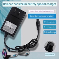 Hoverboad Lithium Battery Charger Ac220v/40W