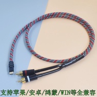 HIFI Fever Grade typec to Double Lotus 2RCA Connection Power Amplifier Audio B & O Beo Sound2 3rd th