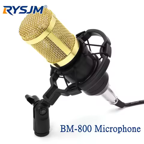 Professional BM 800 karaoke microphone BM800 studio condenser mikrofon mic bm-800 For KTV Radio Brao