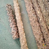 Crutches Handle Log Massager Sichuan Pepper Hand Wood Wild Massage Stick Hand Stick Hand Stick Play 