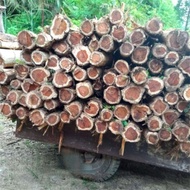 Ya Cypress Side Cypress Wood Hand-Made Cypress Wood Wood Wenwan Carving Material Full Core Material 