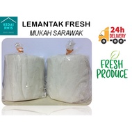 Lemantak Linut Ambuyat Tepung Sagu Basah Fresh Original dari Mukah Sarawak