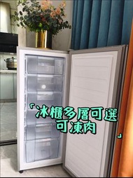 立式冷櫃 Freezer家用小型一級節能全冷凍#冰櫃#Freezer