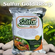 Fungisida Sulfur Gold 1 Kg