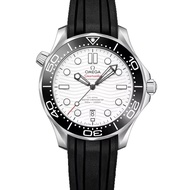 【OMEGA 歐米茄】海馬系列 潛水三百米 白海馬膠帶款 42mm