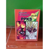 BIBIT SAWIT PPKS MARIHAT ASLI UNGGUL BERSERTIFIKAT