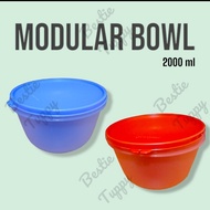 Tupperware Modular Bowl. Multipurpose Storage Container (1pcs)