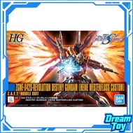 Bandai HG HGUC ZGMF-X42S-Revolution Destiny Gundam (Heine Westenfluss Custom) – Z.A.F.T. Mobile Suit