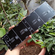 Pcb seven segment anoda 3 inch 4 digit